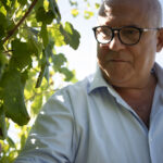 Cantine Di Marzo – Ferrante