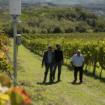 Cantine Di Marzo – esterni
