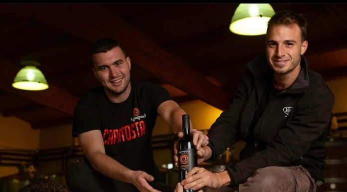 POGGIO ARGENTIERA, vini giovani fatti per i giovani