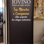 IoVino