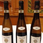 Vigna Ortale
