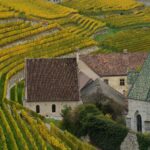 Vigneti Novacella_(c)Albert_Ceolan