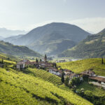 viticoltura in Alto Adige
