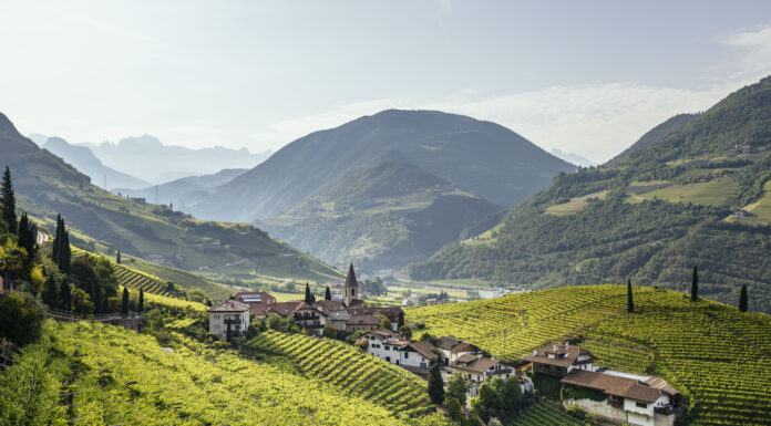 ALTO ADIGE. I vini bianchi che sanno di eleganza e struttura