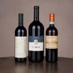 Next generation i vini 1