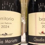 Claudio Mariotto