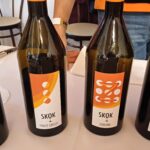 SKOK 3