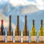 Vini Falkenstein