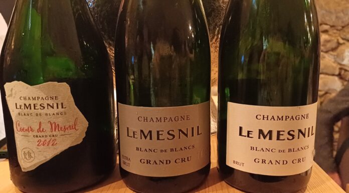 LE MESNIL, LO CHAMPAGNE DEI GRAND CRU