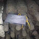 Vecchie annate con muffa – villa simone