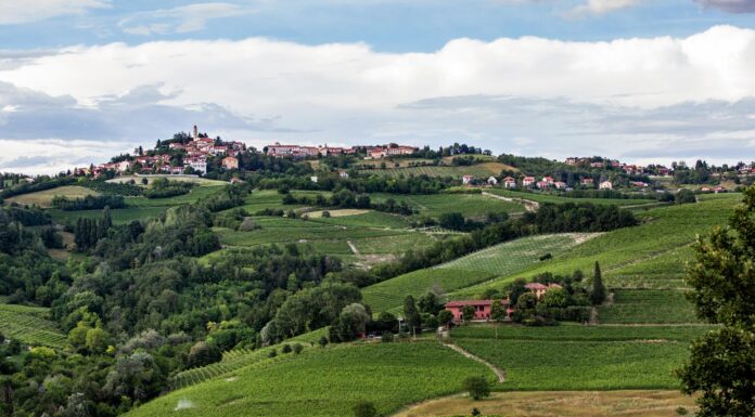 CASCINA GILLI: L’ALTRO VOLTO DEL PIEMONTE