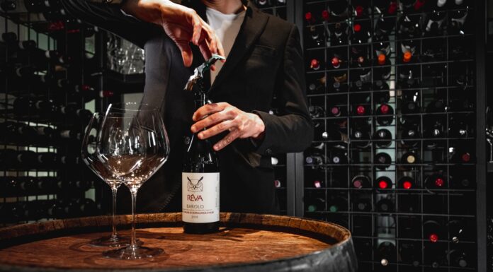 VENDEMMIA 2026 in Piemonte: le previsioni di Réva Winery
