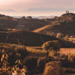 Nizza DOCG (4)