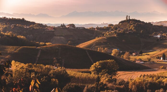 MONFERRATO. NASCE IL CONSORZIO DEL NIZZA DOCG