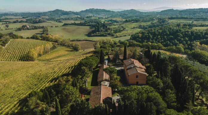 TENUTA di SAN GREGORIO RACCONTA I COLLI SENESI