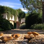 TENUTA MONTETI 3