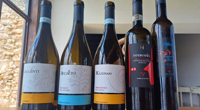 SICILIA. IL CERASUOLO DI VITTORIA E GLI ALTRI VINI DI TERRE DI GIURFO