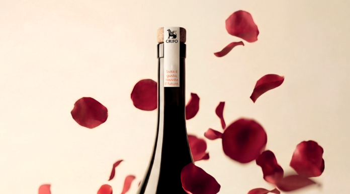 ROSSO DI SETA, il nuovo rosso firmato da Cantina Ruvo di Puglia – Vini Crifo