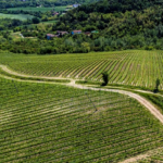 Tenuta della Cascinassa – paesaggio