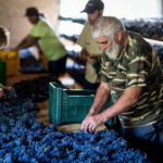 1PIER0671