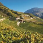 kellerei bozen herbststimmung