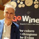 Massimo Corrado – presidente_Go Wine