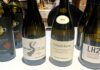 GO WINE alla ventesima edizione di Buono…non lo conoscevo