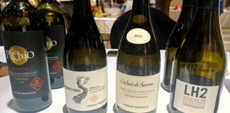 GO WINE alla ventesima edizione di Buono…non lo conoscevo