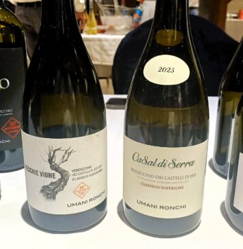 GO WINE alla ventesima edizione di Buono…non lo conoscevo