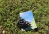 All’Orto Botanico di Roma tra vino, natura e “Somma Sapienza”: Vigneto Italia, una storia di convivenza