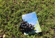 All’Orto Botanico di Roma tra vino, natura e “Somma Sapienza”: Vigneto Italia, una storia di convivenza