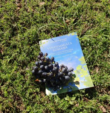All’Orto Botanico di Roma tra vino, natura e “Somma Sapienza”: Vigneto Italia, una storia di convivenza